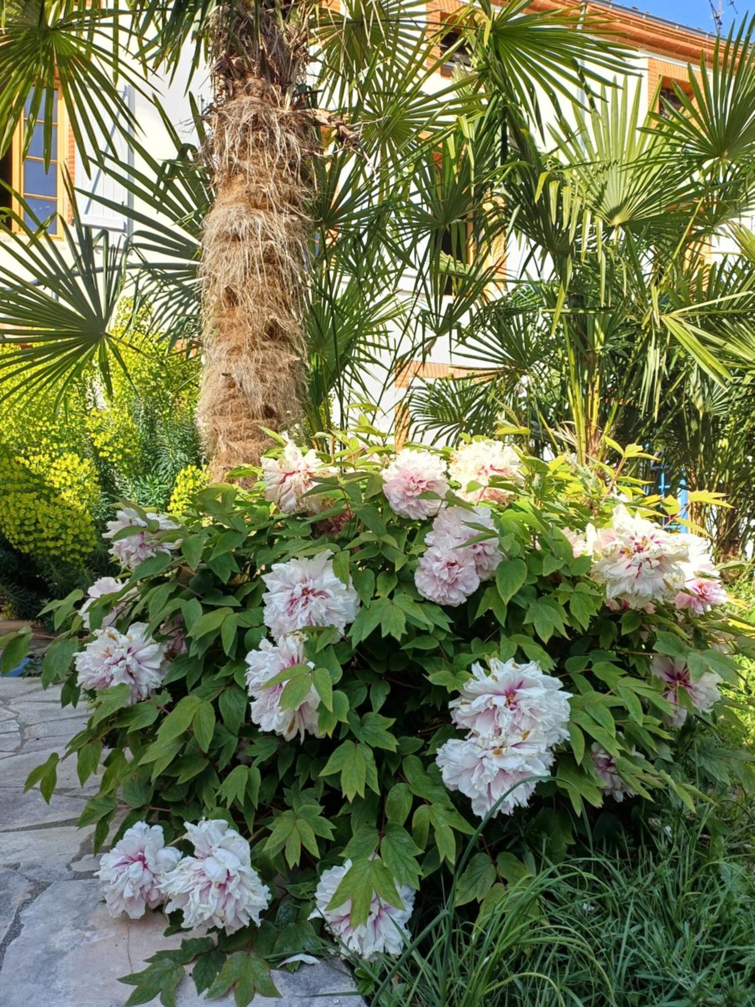 Отель Le Relais De Lezat Экстерьер фото